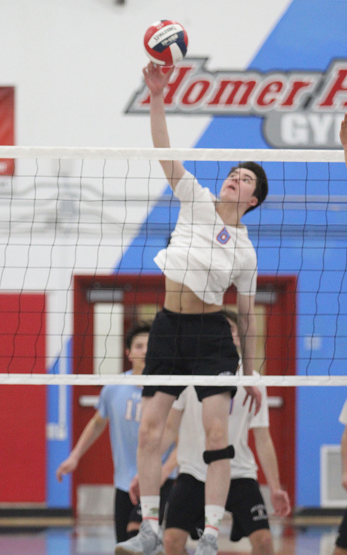 Hillsdale boys volleyball
